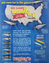 USA 1981 Catalog