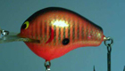 Bagley DB1 A2 (Orange Barfish)[10]