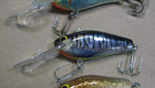 Bagley Diving Pinfish FTBS (Silver Chrome/Black Tiger Stripes)[4]