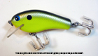 Bagley B Flat GS9 (Black/Silver Scales on Chartreuse)[8]