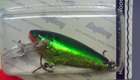 Bagley Small Fry Shad H69G (Hot Green/Chartreuse on Gold Foil)[5]