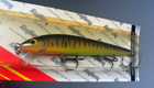 Bagley Bang-O-Lure LM9 (Little Muskie on Chartreuse)[5]
