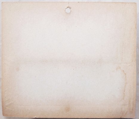 Modal Additional Images for Bagley 4SSF5-SHG Monster Shad