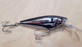 (image for) Bagley MSD-FBS Monster Shad