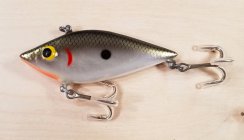 (image for) Bagley Chatter Shad CS3-TS