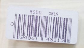 (image for) Bagley MSDD-SBLS Monster Shad/Black Fin