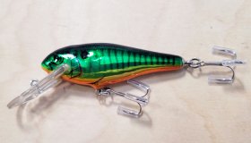 Bagley D92-F69T Bass'N Shad (image for) Bagley D92-F69T Bass'N Shad