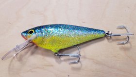 (image for) Bagley MSD-Z09 Monster Shad