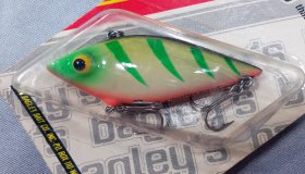 (image for) Bagley Chatter Shad CS3-06BN