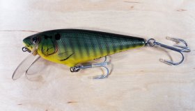 (image for) Bagley Monster Shad MSS-PR3