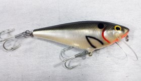 (image for) Bagley Monster Shad 4SF5-TS