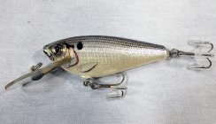 (image for) Bagley Bagley Small Fry Shad 4DF3-SH4