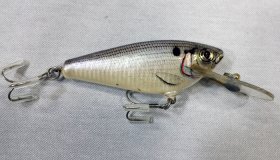 (image for) Bagley Bagley Small Fry Shad 4DF3-SH4