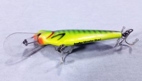 (image for) Bagley Monster Shad MSD-PGS9