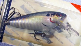 (image for) Bagley Small Fry Shad 4DSF2-SH4