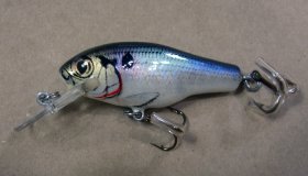 (image for) Bagley Small Fry Bass 1DSF1-SH4