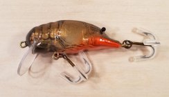 (image for) Bagley Small Fry Crayfish 5SSF1-DC