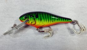 (image for) Bagley Bass N Shad D92-H69T