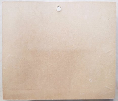 Modal Additional Images for Bagley 4SSF5-SHG Monster Shad