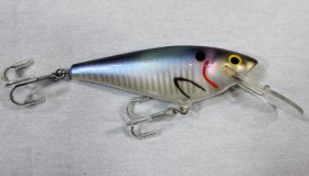 (image for) Bagley 4DSF5-SH4 Monster Shad