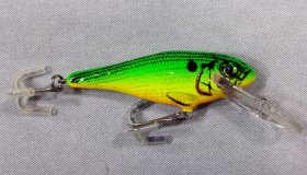 (image for) Bagley Bass N Shad D92-LG9