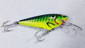 (image for) Bagley Monster Shad MSD-PGS9