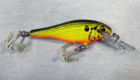 (image for) Bagley Bass N Shad D92-09