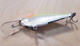 (image for) Bagley MSD-294 Monster Shad