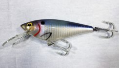 (image for) Bagley 4DSF5-SH4 Monster Shad