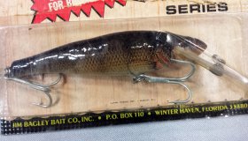 (image for) Bagley Small Fry Perch 6DSF5-W4