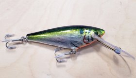 (image for) Bagley MSDD-LGFOT Monster Shad