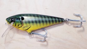 (image for) Bagley MSS-PGS3 Monster Shad