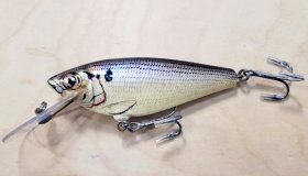 (image for) Bagley 4SSF5-SH4 Monster Shad