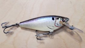 (image for) Bagley 4SSF5-SH4 Monster Shad