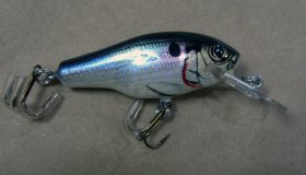 (image for) Bagley Small Fry Bass 1DSF1-SH4