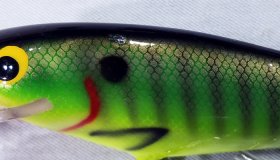 (image for) Bagley Monster Shad MSD-PGS9