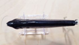 (image for) Bagley 4DSF5-SSH Monster Shad