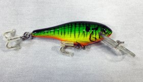 (image for) Bagley Bass N Shad D92-H69T