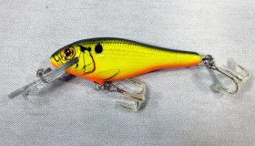 (image for) Bagley Bass N Shad D92-09