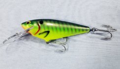 (image for) Bagley Monster Shad MSD-PGS9