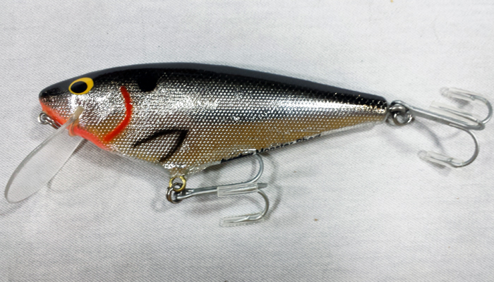 Bagley Monster Shad 4SF5-BSOT : Bagley´s For Sale