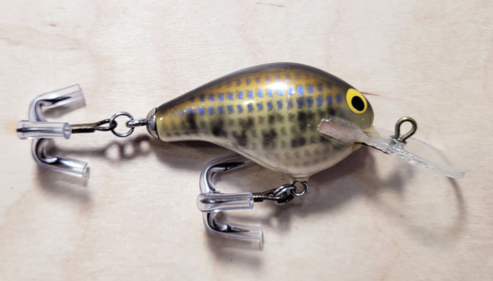 Bagley DHB1-10 Honey/Bitty B