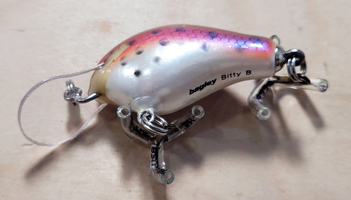 Bagley DHB1-RTNS Honey/Bitty B