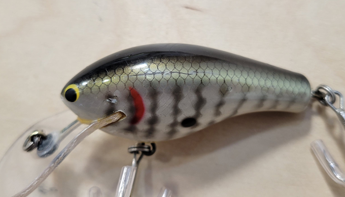 Modal Additional Images for Bagley DKB2-A5 Diving Killer B 2