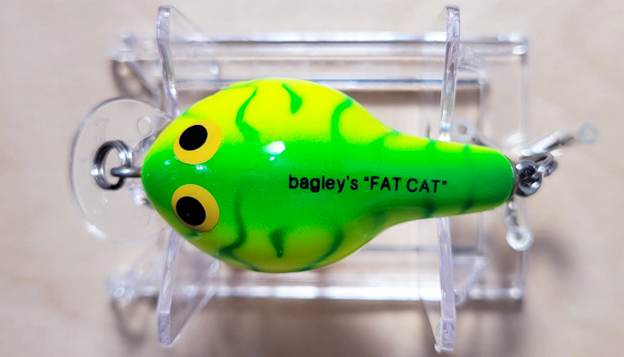 Modal Additional Images for Bagley FC2-LG9TO Fat Cat