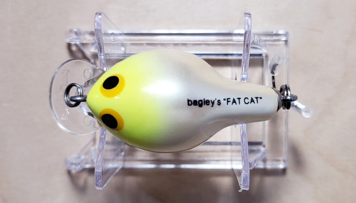 Modal Additional Images for Bagley FC2-YHW Fat Cat