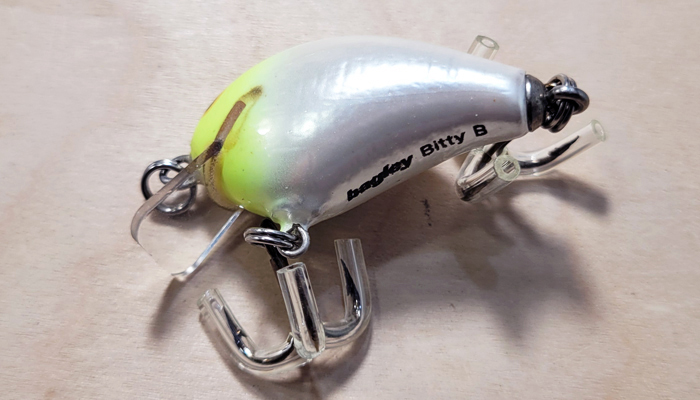 Bagley HB1-YHW Honey/Bitty B