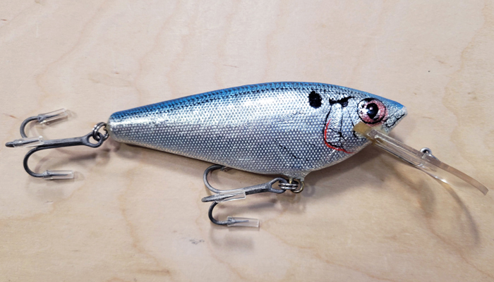 Bagley MSD-BLS Monster Shad