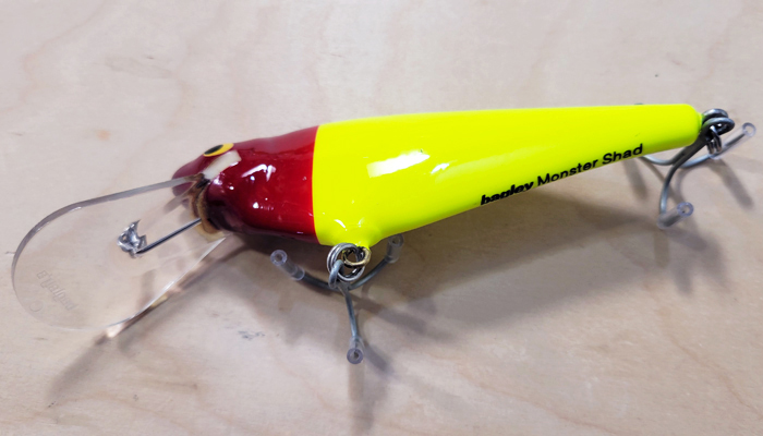 Bagley MSD-RHY Monster Shad