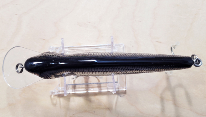Modal Additional Images for Bagley MSD-FBS Monster Shad